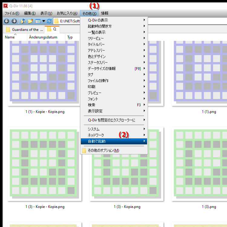 Q Dir にはどのような自動起動オプションがありますか